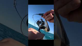 AMBERJACK in HUGE Waves😳😳 #jigging #amberjack #shorejigging #bigwaves