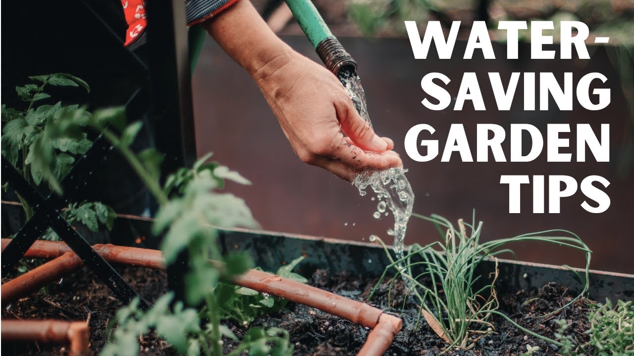 How Do I Lower My Gardening Water Bill?