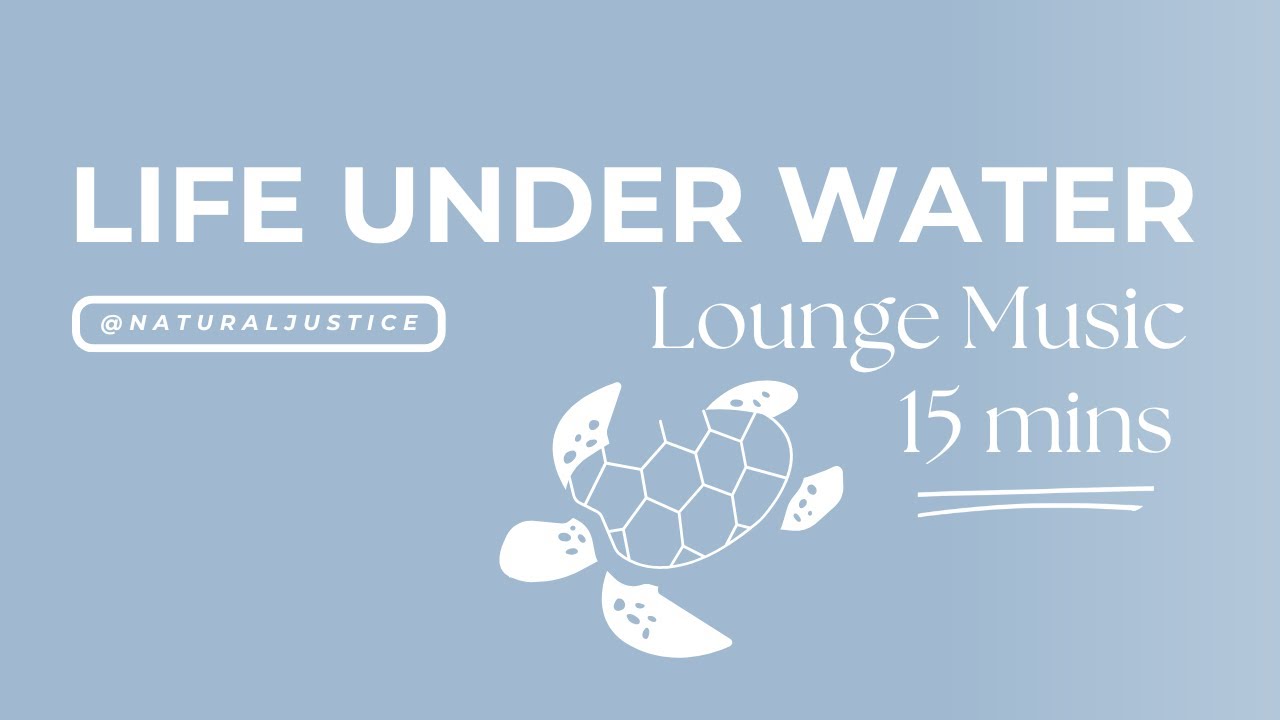 Marine Life | 15 Minutes of Ocean Scenes with Lounge Music