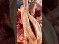 wonderful dashi best tongue meat cutting #meatmarket #best #foodprocessing #shorts #meatlover