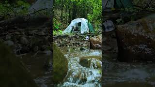 Quiet morning by the river #camping #peaceful #nature