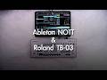 Ableton NOTT & Roland TB-03