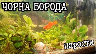 :     ,   . #