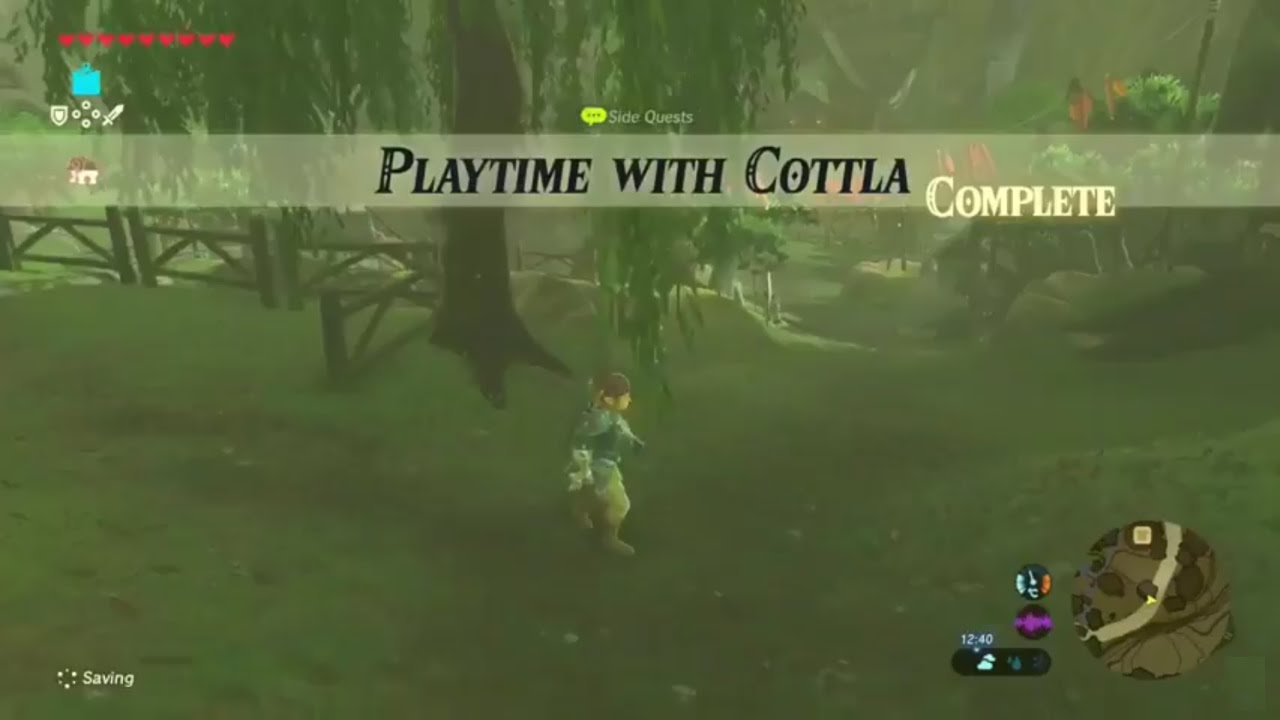 Zelda: Breath of the Wild | Playtime with Cottla Side Quest - Dueling Peaks Tower Region