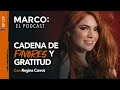 129: Cadena de favores y gratitud, con Regina Carrot