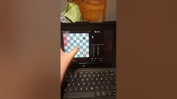 Beating all beginner chess bots on chess.com