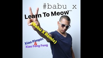 Xiao Pimpin, Xiao Feng Feng - Learn to Meow 學貓叫 (Babu X Remix)