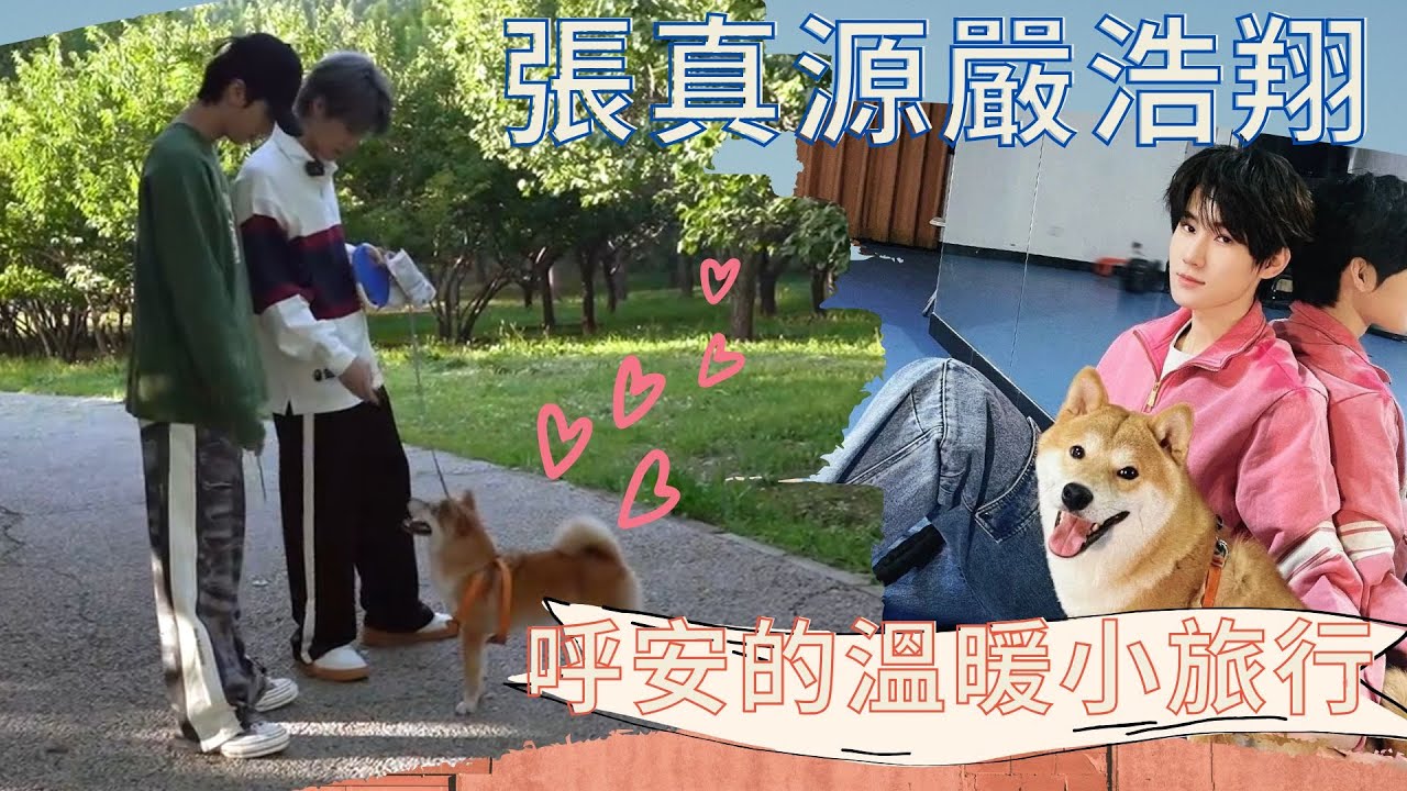 【TNT時代少年團】張哥的小狗竟是浩翔送的？！神仙竹馬與呼安的溫暖小旅行