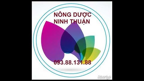 Hạt chuối cô đơn - biệt dược của người dân tộc 0938813188