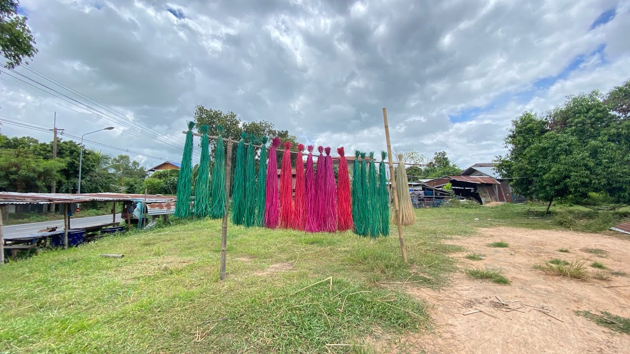 ทอเสื่อด้วยต้นผือ EP.2 ม.11 ต.เมืองคง อ.ราษีไศล จ.ศรีสะเกษ