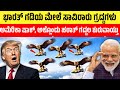 “Thousands of vultures on India’s border.A shock to America — chaos erupted there.” #kannadafacts 