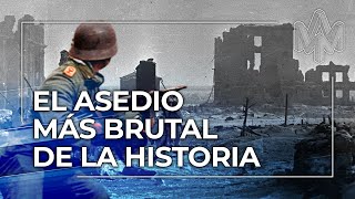 Stalingrado: la batalla que cambió la Segunda Guerra Mundial