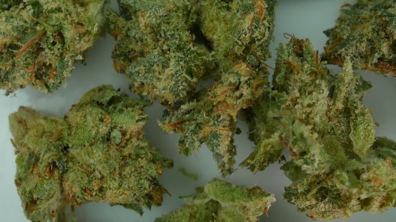 4K cannabis 055 -  7 acres craft collective Pink Kush 