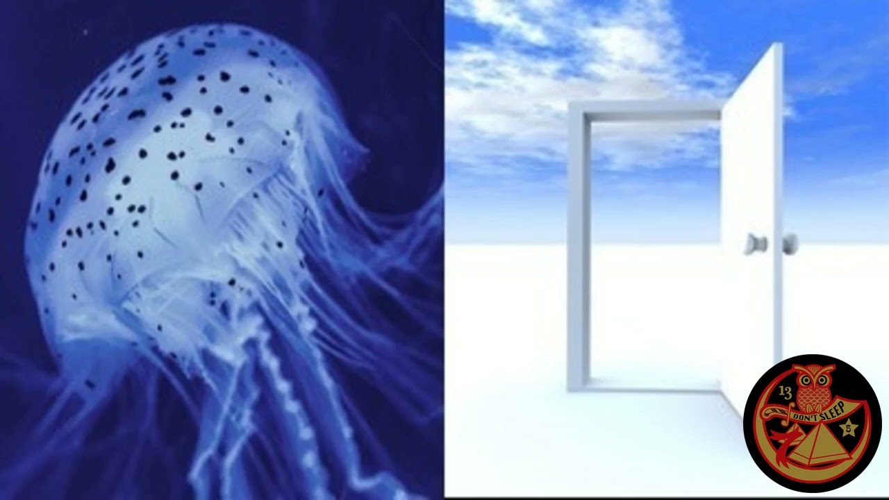 Cari Lekebusch- August 2014 djmix- Pt 1. 'The Jellyfish' Pt.2 'Opening Doors'