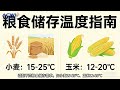 LoRa粮仓温度检测仪宣传视频