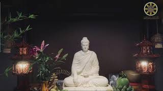 NIKAYA Thiền Quán - Bằng Tất Cả Tấm Lòng !