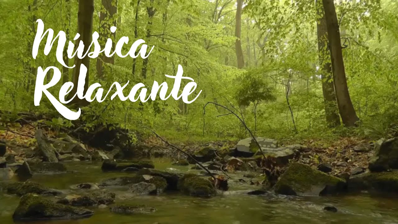 m-sica-relaxante-e-terap-utica-para-acalmar-o-sistema-nervoso-youtube