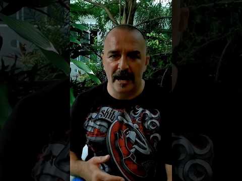 Деконструкция Клим Жуков про традиции в испанской пехоте #климжуков #военнаяистория #история