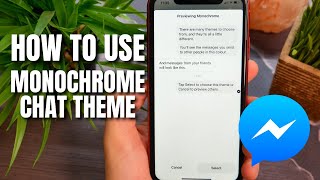 How to Use the Monochrome Chat Theme on Facebook Messenger in 2022 screenshot 5