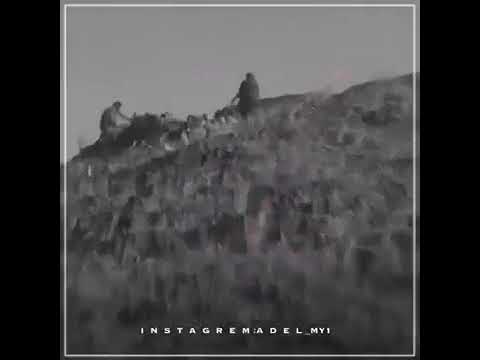 حي فزعات النشاما ذي تجلي كل هم حمران العيون لاقالو داري دارت