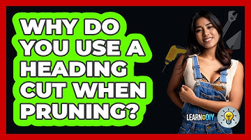 Why Do You Use A Heading Cut When Pruning? - LearnToDIY360.com