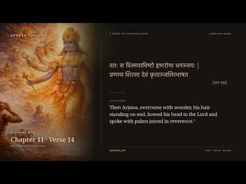 Bhagavad Gita 11.14 Meaning: Then Arjuna, Overcome with Wonder, His Hair Standing on End…