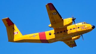 RCAF CC-115 Buffalo Start Up \& Takeoff From YYJ