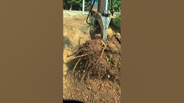 Digging up tree roots with an excavator may seem fun, but it