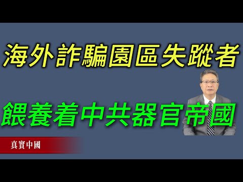 海外詐騙園區的失蹤者：被中共器官帝國吞噬的真相｜《真實中國》