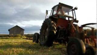 Soviet tractors ploughing in Finland (MTZ variations, T-150K, T-40)