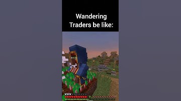 Minecraft Wandering Trader meme #memes #minecraft #gaming