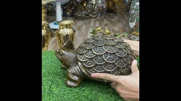 Cụ rùa đồng #đồđồngcầnthơ65 #phongthuy #đồcổ