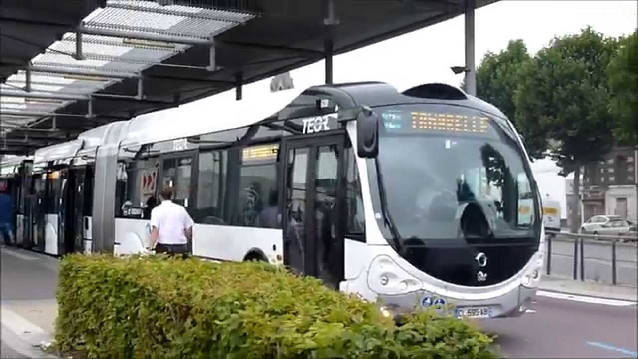 Crealis NEO Hybride N°6238 - Soucis - ASTUCE Rouen