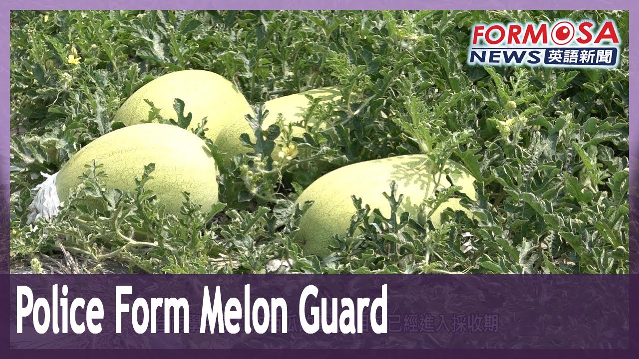 Tainan police form Melon Guard to protect watermelons from thieves