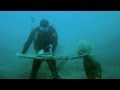 The reason we Scuba Dive in UK!