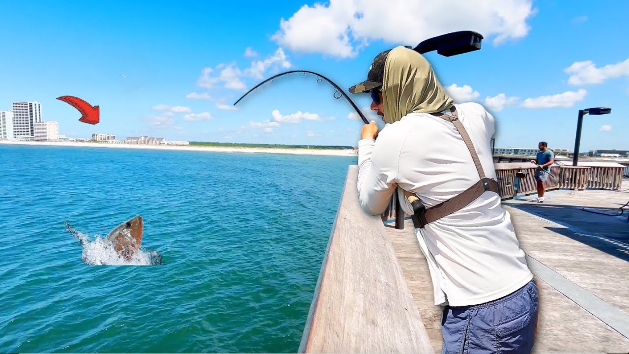 Fishing The Gulf Pier with Live Shrimp for My Lunch!