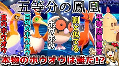 しぇいどch Youtube