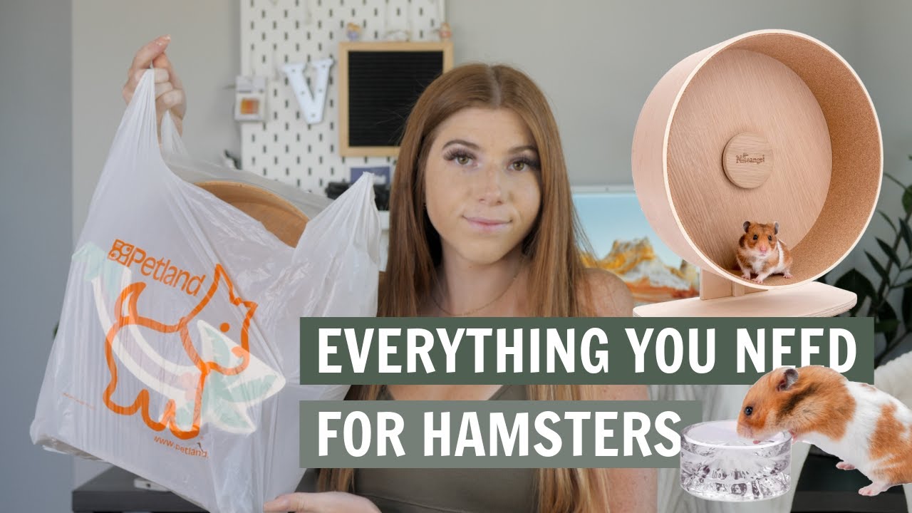 Everything you NEED for a Hamster photo photo