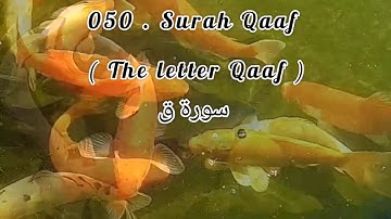 Surah Qaaf (The letter Qaaf ) سورة ق in Urdu Translation.