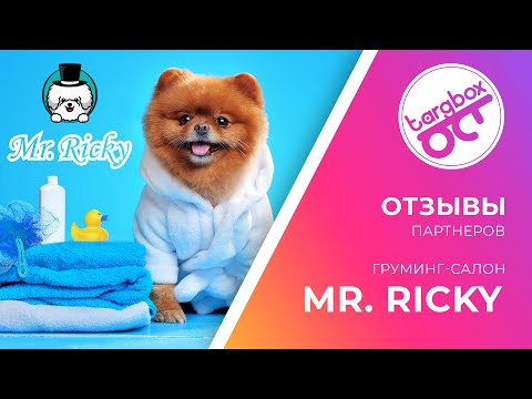 Отзывы TargBox Digital | SMM | WEB | SEO | Продвижение груминг салона Mr. Ricky