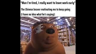 Download lagu Motivational Chinese Beaver