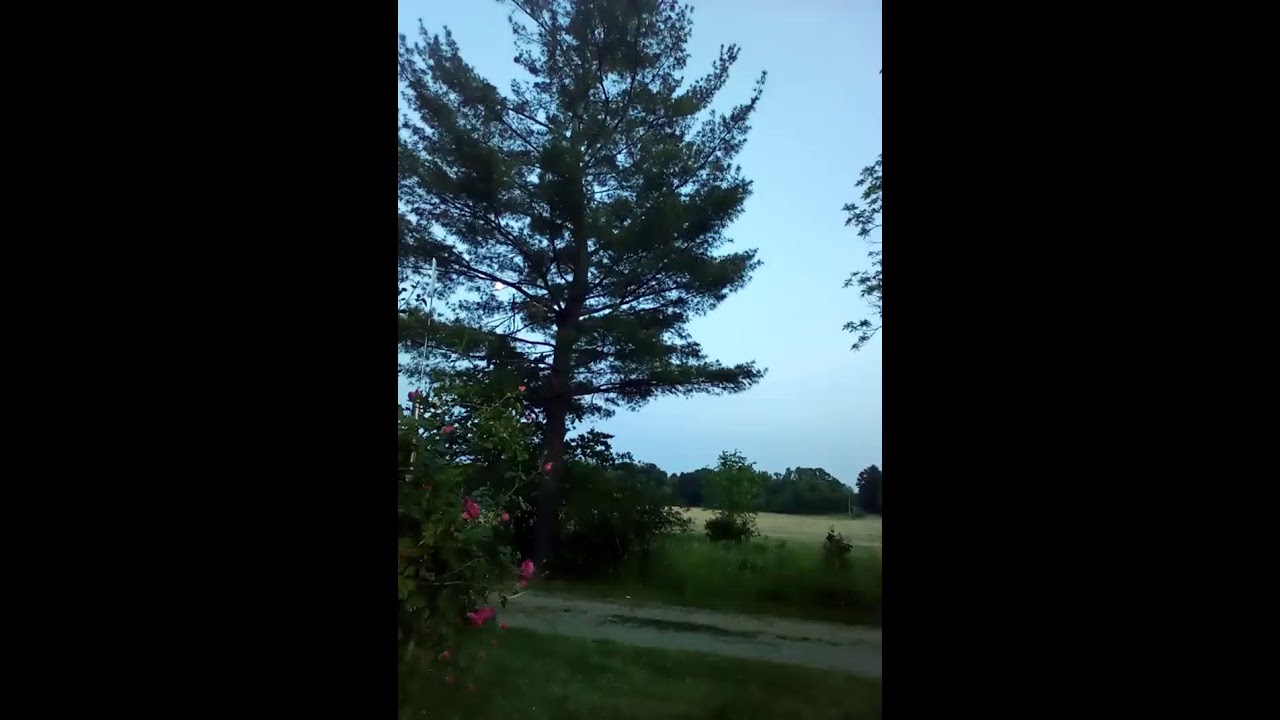 Blanket On The Ground