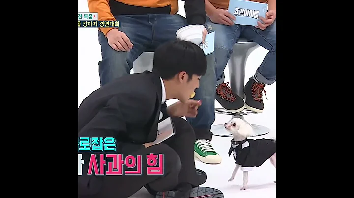 kiM MiNGyU aNd hIs StrUgGleS arE neVeR EnDinG 🤣 #seventeen #mingyu #kimmingyu