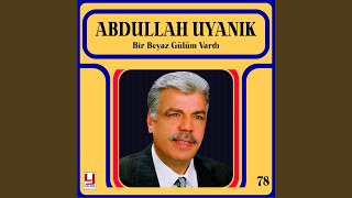 Gezdiğim Dikenli Aşk Yollarında