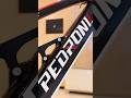 Pedroni ebike charger