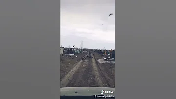 Вороны на кладбище