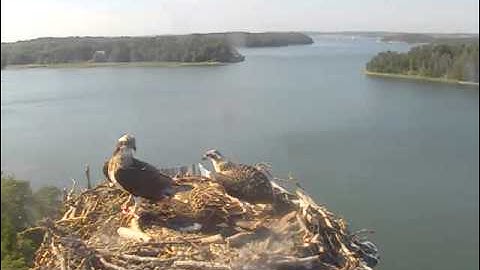 vlc record 2013 07 28 16h16m51s mms   193 166 137 214 8080 seili asf