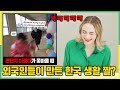 '한국 사는 외국인들이 커뮤니티에 올리는 한국 짤' 외국인 반응