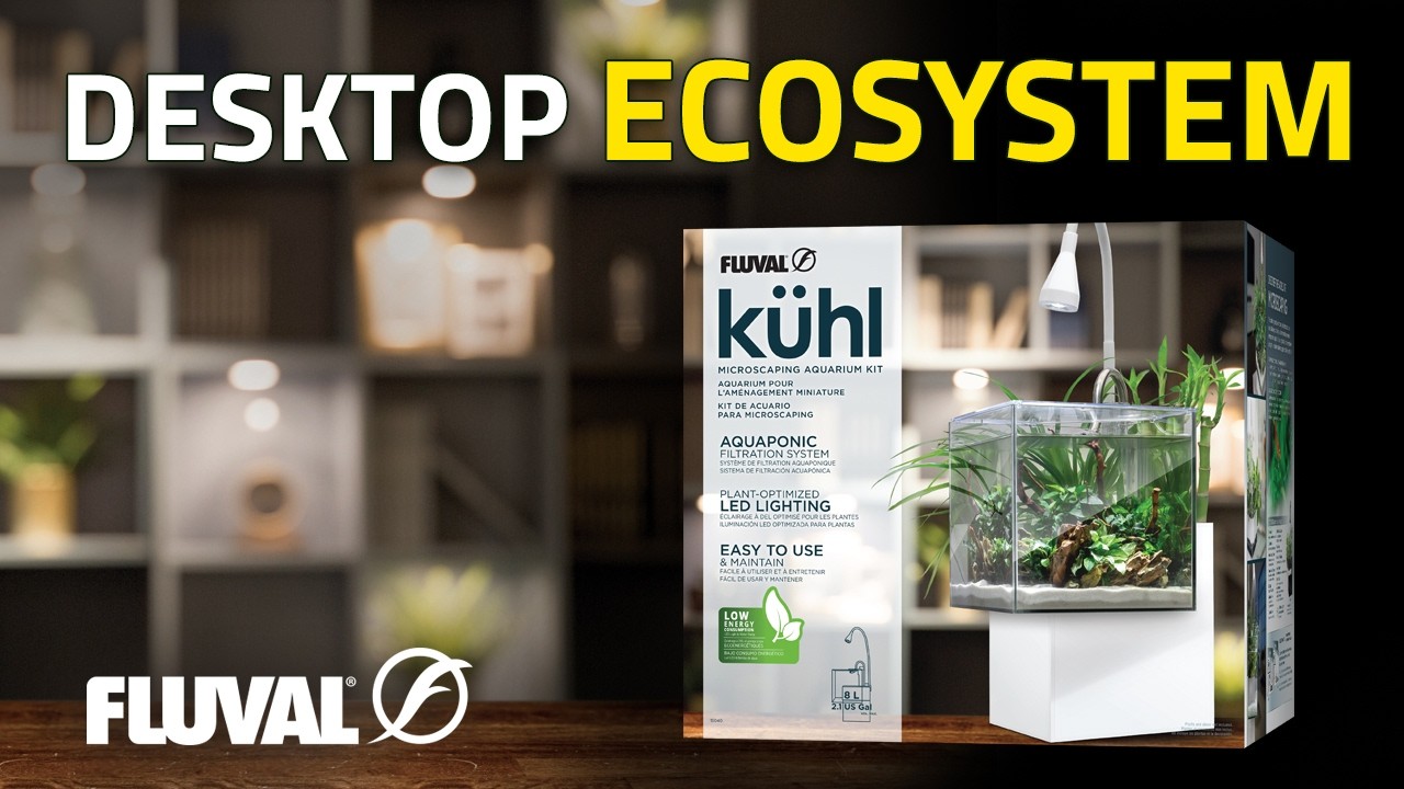FLUVAL KÜHL | Create Your Own Peaceful Water Garden at Home
