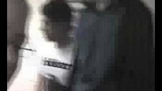 Disciple Now Highlights (march 06)